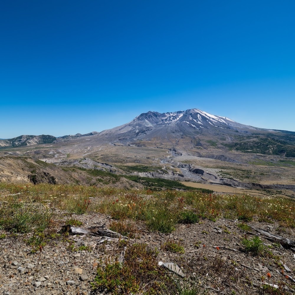 Meet your Posher, Jimmy